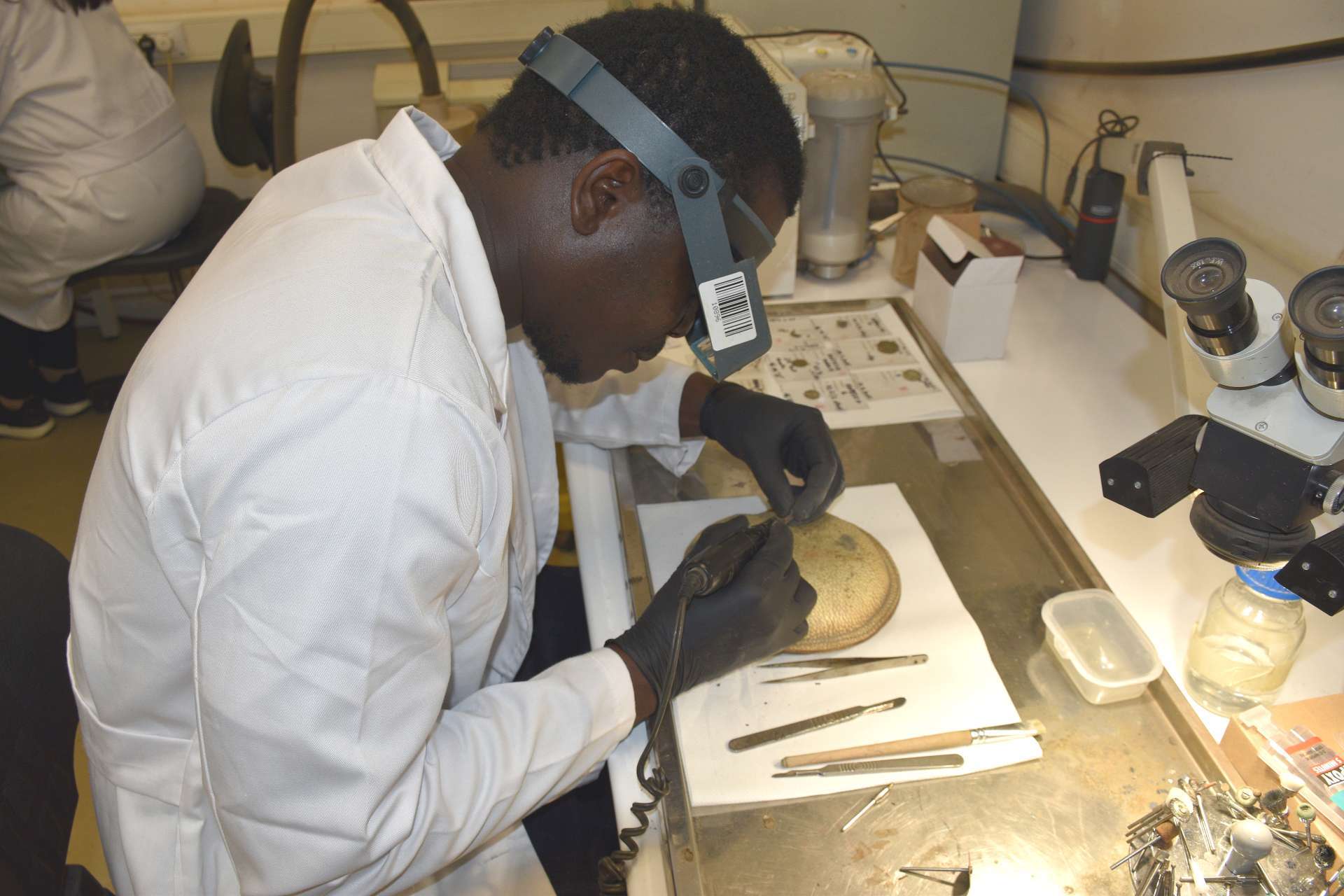 Introductory course on the conservation and restoration of underwater archaeological finds 2026 - 
