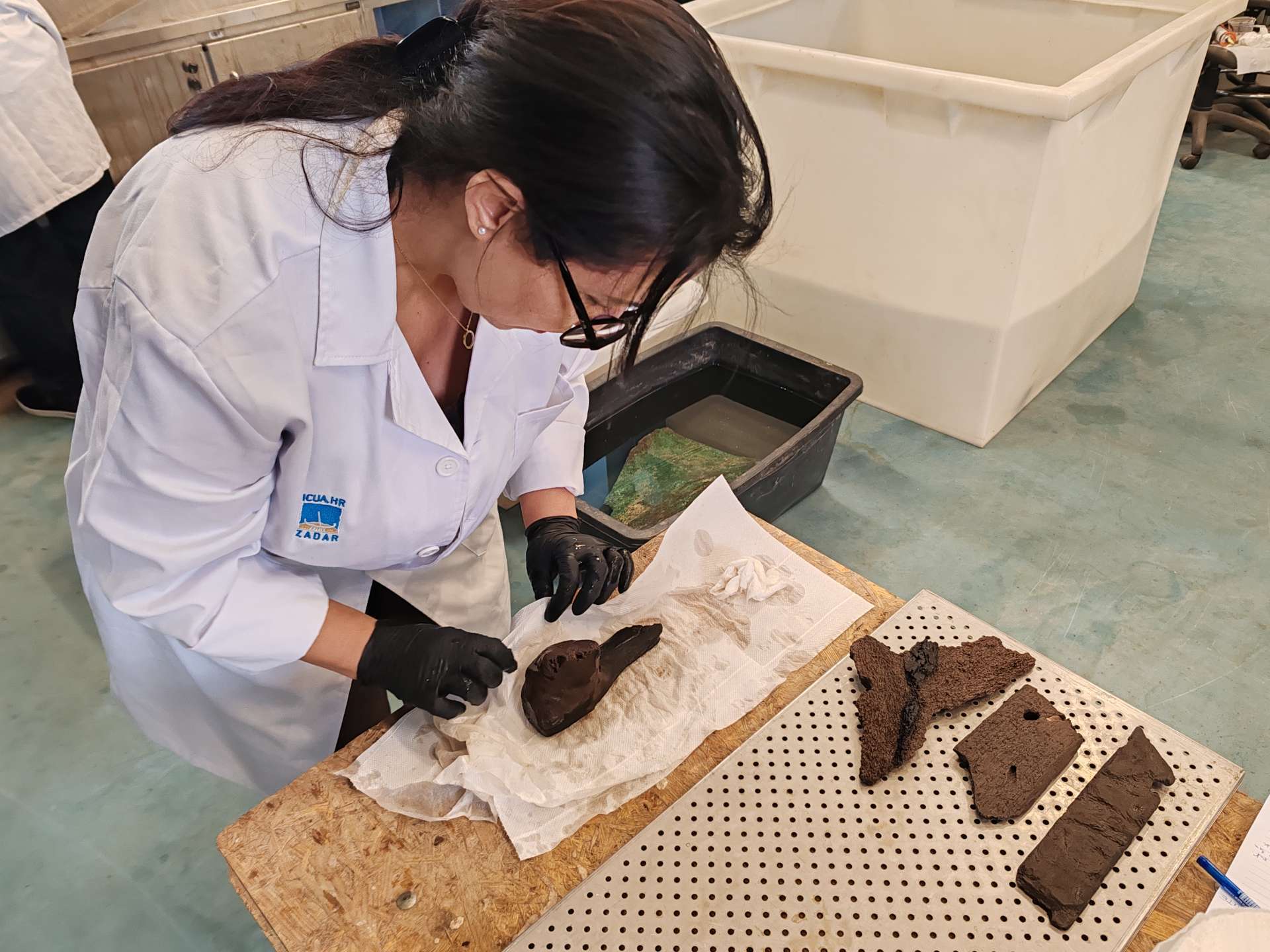 Introductory course on the conservation and restoration of underwater archaeological finds 2026 - 